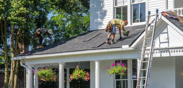 Best Roof Moss and Algae Removal  in Obetz, OH